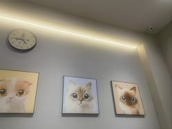 -洗脸猫·洗脸吧