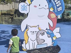 -秦皇岛乐岛海洋王国