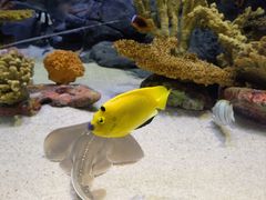 -上海海洋水族馆