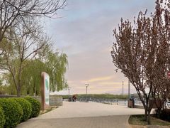 -大兴滨河森林公园