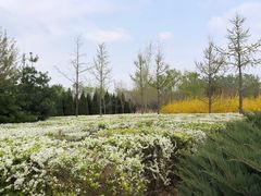 -永定河休闲森林公园