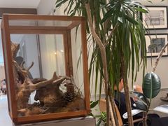 -一尺花园(安和花园店)