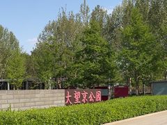 -大望京公园