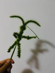 点击看大图 -归位瑜伽&普拉提馆