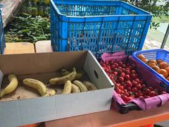 -小蜜蜂团建自助烧烤场(小洲村店)
