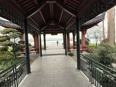 -浙江西子宾馆·牡丹厅