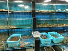 -老郑海鲜楼(天桥店)