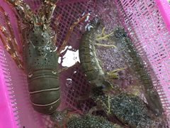 -班赞海鲜市场