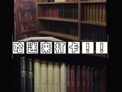 -逃脱反斗城沉浸剧情密室(北京路店)