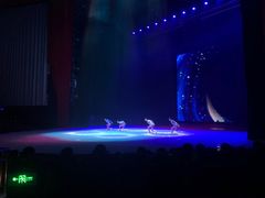 -水秀国际大剧院