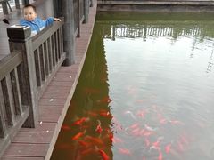 -枫香湖儿童公园