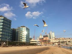 -海云台海滩
