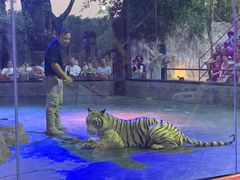 -清迈夜间动物园