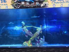 -成都浩海立方海洋公园