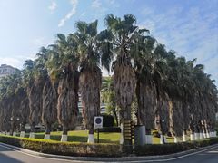 -厦门帝元维多利亚大酒店(环岛路黄厝海滩店)