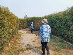 -亲兄弟真人CS团建拓展基地