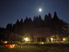 -武陵山森林公园