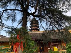 -灵岩山风景区