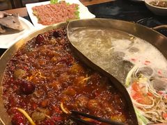 -杨家火锅(国美店)