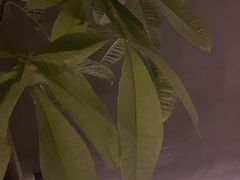 -泰之源足浴会所(玉环店)