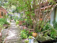 -谷咖啡·鲜花绿植花园餐厅