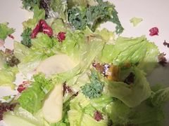 -老友时光·Pizza(泰华黑金店)