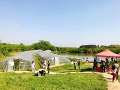 -武汉开心果园农业发展有限公司