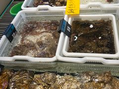-老虎滩船说·海胆水饺·大连海鲜(老虎滩店)