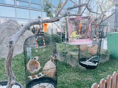 -悦融·京鲁菜·露台花园(安定门店)