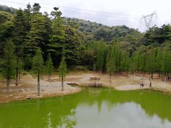 -广州市帽峰山景区