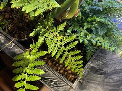 -THE WOODS 简餐 (国贸商城店)