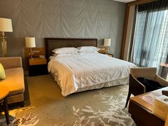 -绿城千岛湖喜来登度假酒店