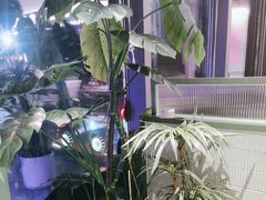 -椰小鸡·琼州糟粕醋·火锅(美兰缤纷城店)