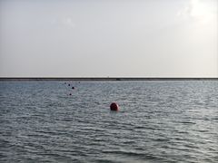 -碧海金沙