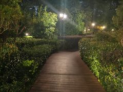 -棕榈岛海鲜自助餐厅(虹桥迎宾馆店)