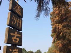 -东湖落雁景区