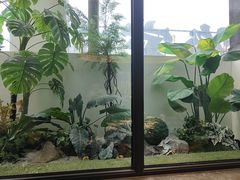 -大连湾旭日·家宴·海肠捞饭(马栏广场店)