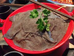 -辣伍鲜毛肚老火锅(元一店)