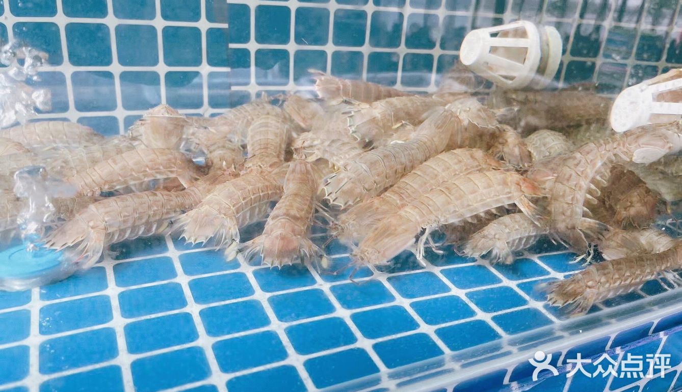 救命，真的很难拒绝这样一家海鲜餐厅呀！ 