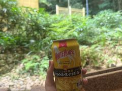 -有马温泉 竹取亭円山温泉旅馆