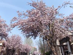 -天津五大道文化旅游区