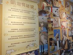 -翊宠yipet猫狗购宠庄园犬舍•猫舍