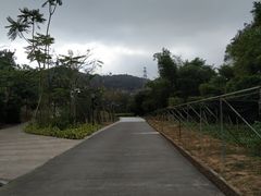 -中山市树木园