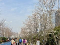 -钱塘江大桥