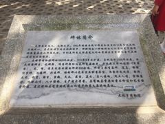 -总统兵马大元帅府