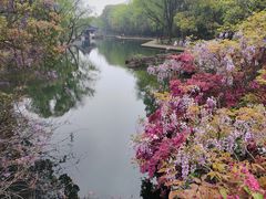 -柯岩风景区