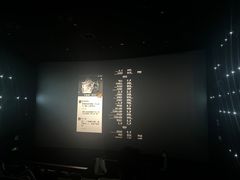 -深影国际影城(学院南路店CGS中国巨幕店)