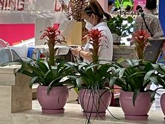 -百荣世贸商城