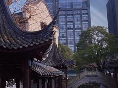 -龙潭水乡