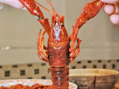 -七寸飝大饭店(马场店)